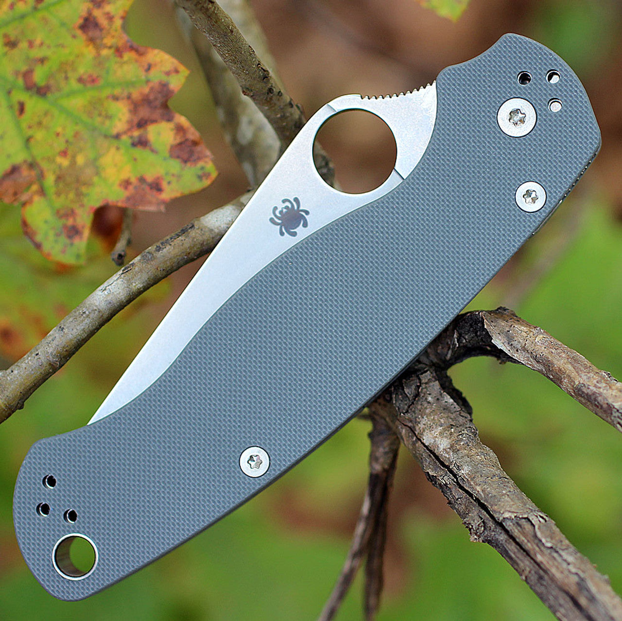 Spyderco Para Military 2 Knife